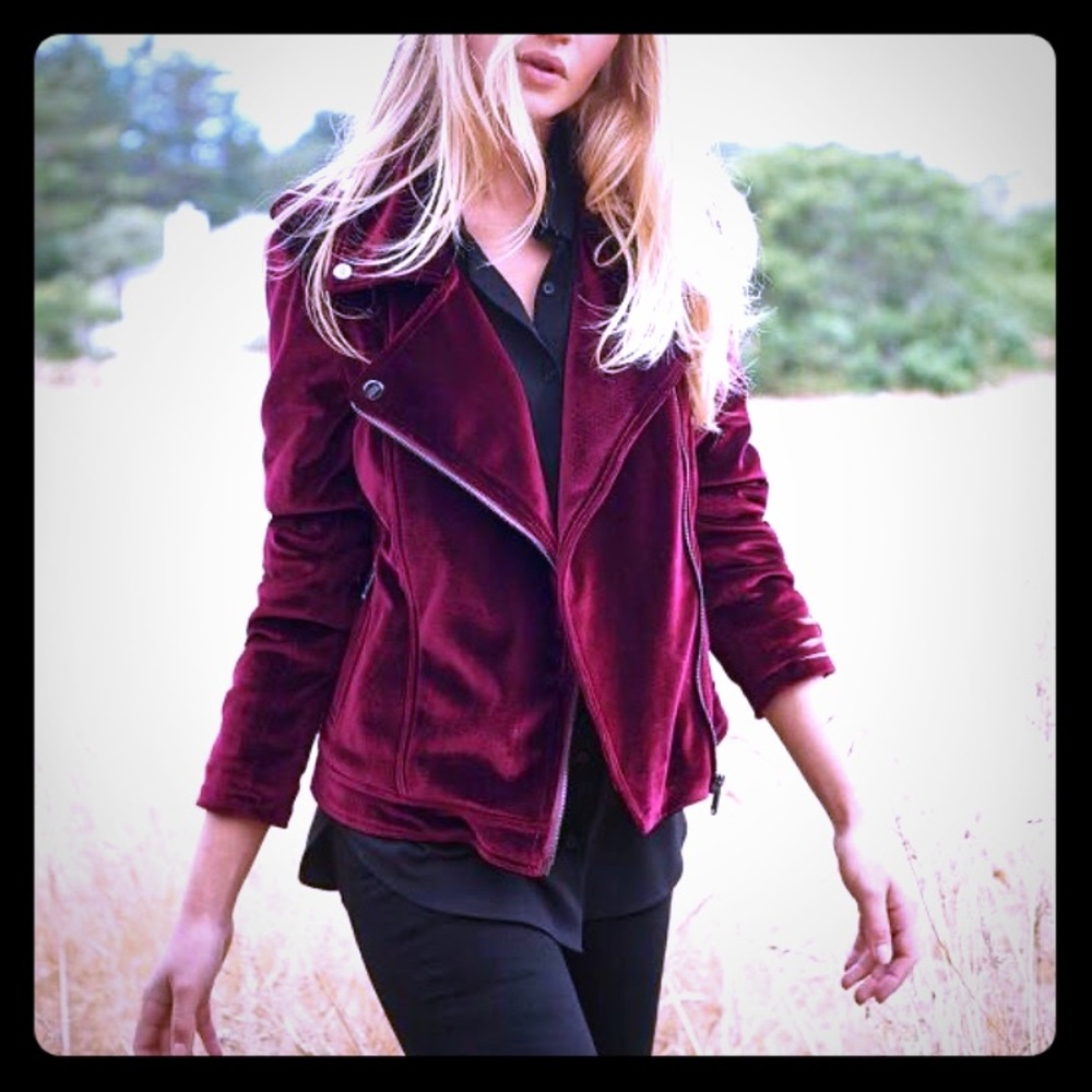 Steve Madden Moto Jacket